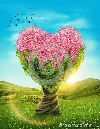 Heart shaped tree Stock Photo