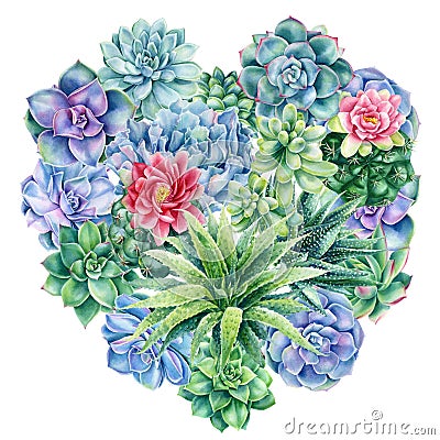 Heart Succulents, tropical plants on isolated white background, watercolor painting. Cartoon Illustration