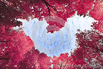 Heart surrounded by spring trees Stock Photo