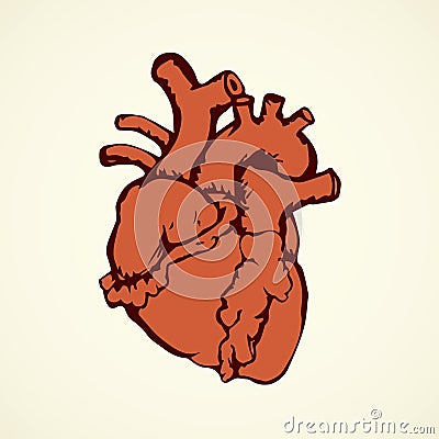 Heart. Vector drawing Vector Illustration