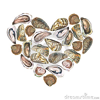 Heart with watercolor oysters on white Vector Illustration