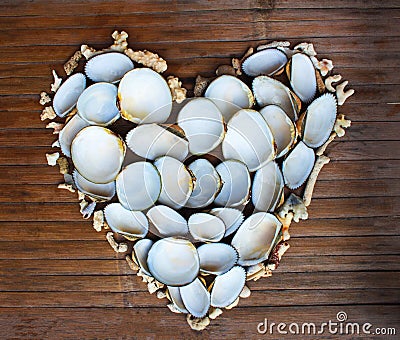 Heart from white corals and shells on wooden background. Handmade love decor from beach finding. Stock Photo
