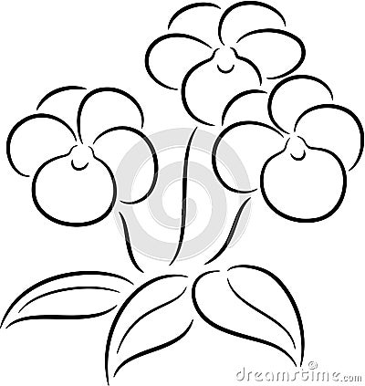 Heartsease Flower Vector Illustration