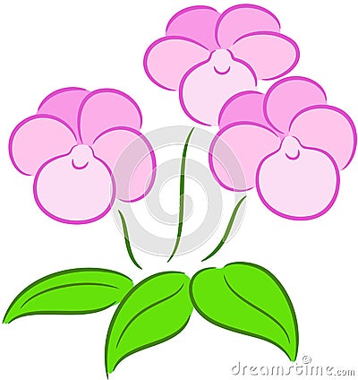 Heartsease Flower Vector Illustration