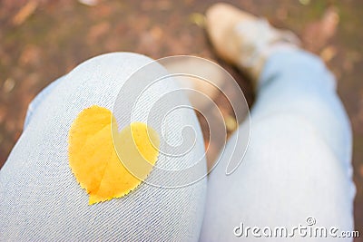 Heartshaped yellow autumn leaf Stock Photo