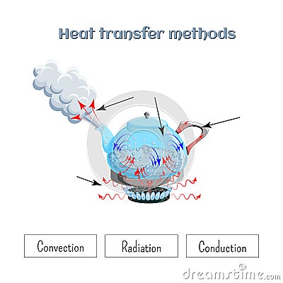 Heat transfer methods on example of water boiling in a kettler on gas stove top. Worksheet. Vector Illustration