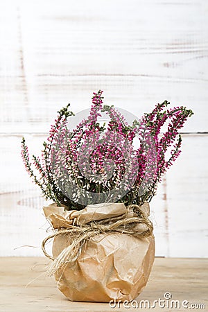 Heather bouquet on white wooden background Stock Photo