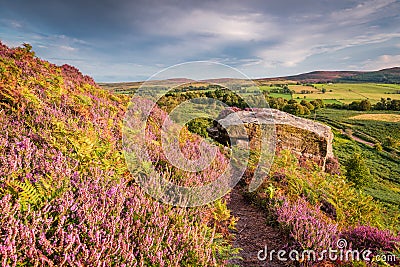 Heather bracken and crags on Rothbury Terraces Stock Photo