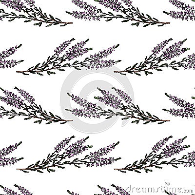Heather seamless pattern Vector Illustration