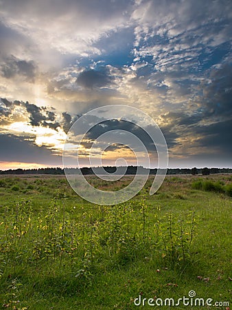 Heathland Trail Sunset Stock Photo