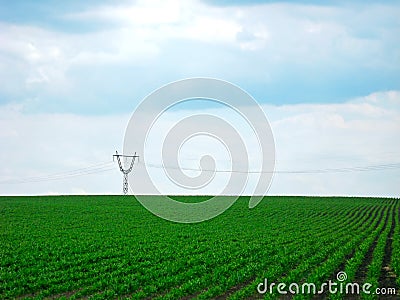 Heaven and green field Stock Photo