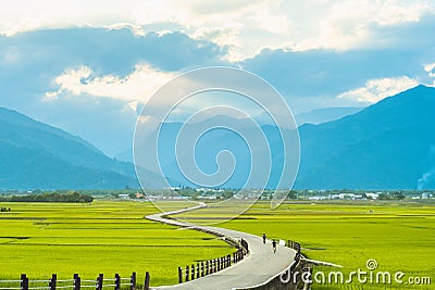 Heaven Road, Landscape of Chishang, Taitung Stock Photo