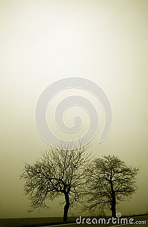 Heavy Fog Stock Photo