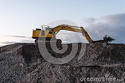 Heavy machine excavator bagger on top of gravel construction site holding a green christmas tree Stock Photo