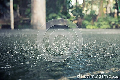 Heavy rain Stock Photo