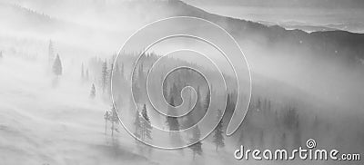 Heavy snow blizzard on mountain slope Stock Photo