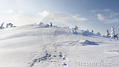 Heavy snow Stock Photo