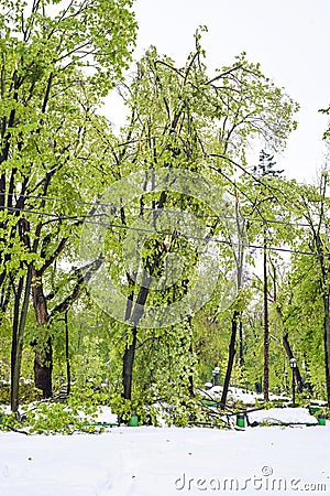 Heavy snow in Moldova, view of central park Stock Photo