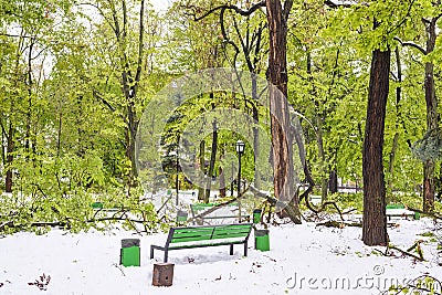 Heavy snow in Moldova, view of central park Stock Photo