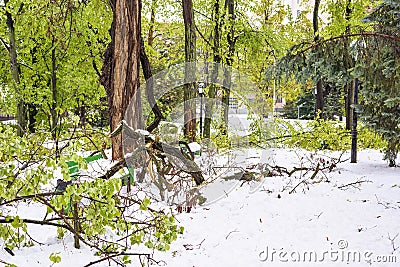 Heavy snow in Moldova, view of central park Stock Photo