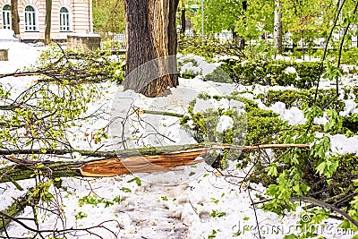 Heavy snow in Moldova, view of central park Stock Photo