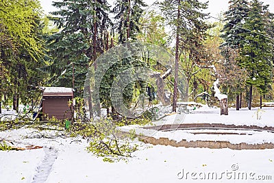 Heavy snow in Moldova, view of central park, destroyed coffee shop Stock Photo