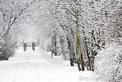 Heavy snowfall Stock Photo