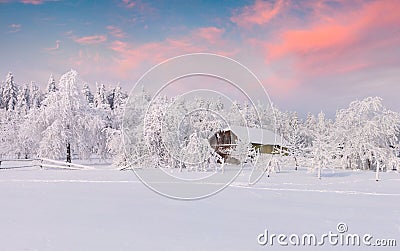 heavy snowfall covered the trees and houses in the mountain village Stock Photo