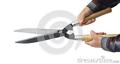 Hedge Shears Stock Photo