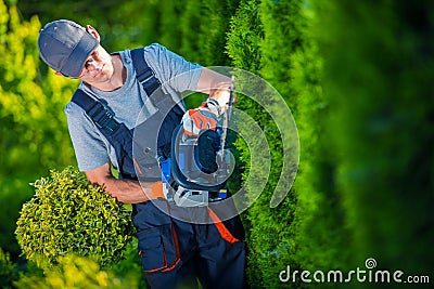 Hedge Trimmer Works Stock Photo