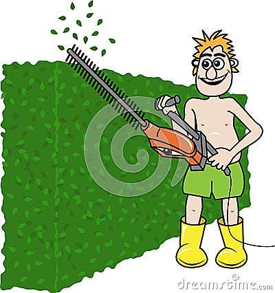 Hedge trimming Stock Photo