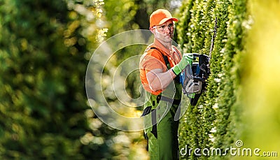 Hedge Trimming Job Stock Photo