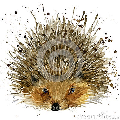Hedgehog illustration with splash watercolor textured background Cartoon Illustration