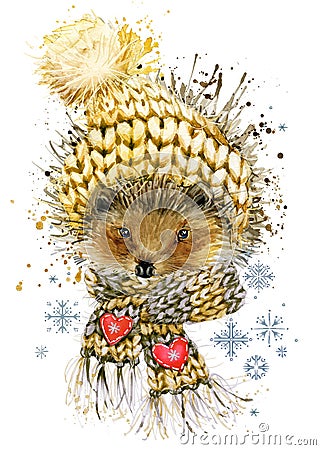 hedgehog in a knitted hat with snowflake. watercolor winter wild forest animal illustration. Cartoon Illustration