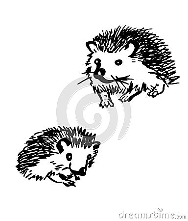 Hedgehog. Stylized drawings Cartoon Illustration