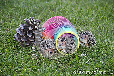 Hedgehogs are playing with the slinky on the lawn next to pine cone Editorial Stock Photo