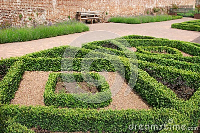 Hedging Topiary Stock Photo