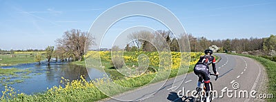 floodplanes of river waal and woman with bike on dyke in the netherlands under blue spring sky with yellow flowers Editorial Stock Photo