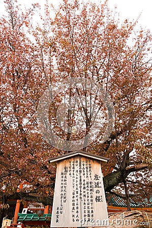 Heian Shrine in Kyoto, Japan Stock Photo