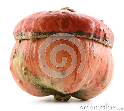 Heirloom orange Turban squash isolated on white background Stock Photo