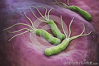 Helicobacter Pylori bacteria Cartoon Illustration