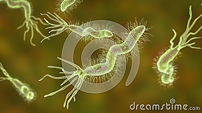 Helicobacter pylori bacterium Cartoon Illustration