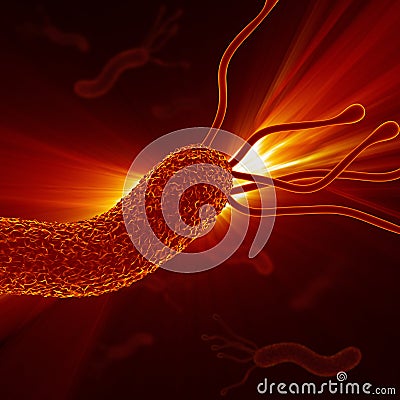 Helicobacter Pylori - Closeup / Detailed Zoom Stock Photo