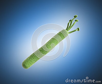Helicobacter pylori 3d render image on blue Stock Photo