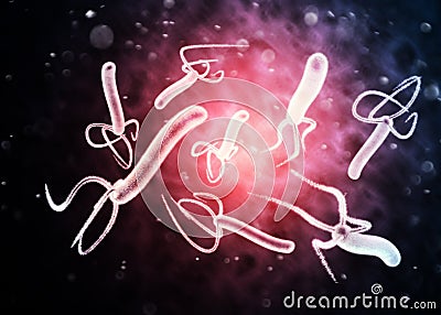 Helicobacter pylori is a gram-negative, flagellated, helical bacterium. Stock Photo