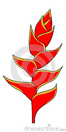 Heliconia Flower Lobster Claw illustration vector Vector Illustration