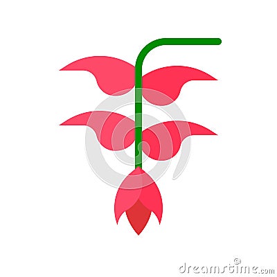 Heliconia flower vector, tropical related flat style icon Vector Illustration