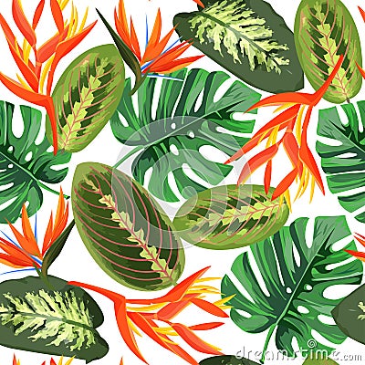 Heliconia and strelizia flowers vector illustration. Tropical orange plants background. Vector Illustration