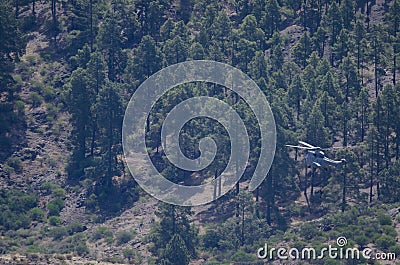 Helicopter and forest. Stock Photo