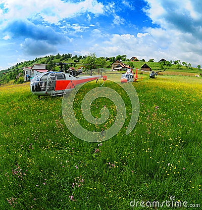 Helicopters on summer field Stock Photo